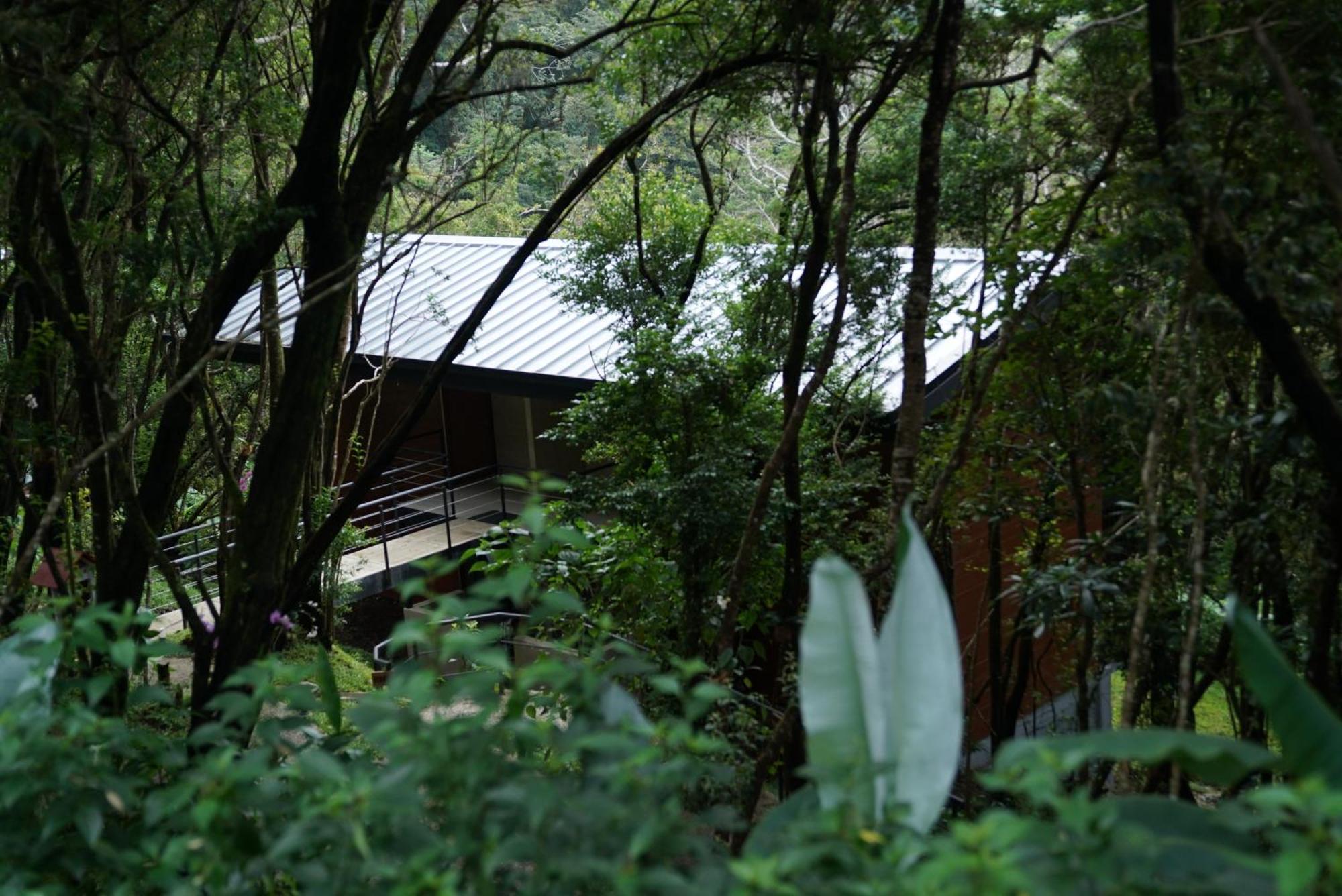 Koora Monteverde A Cloud Forest Hotel By Sandglass Exterior foto