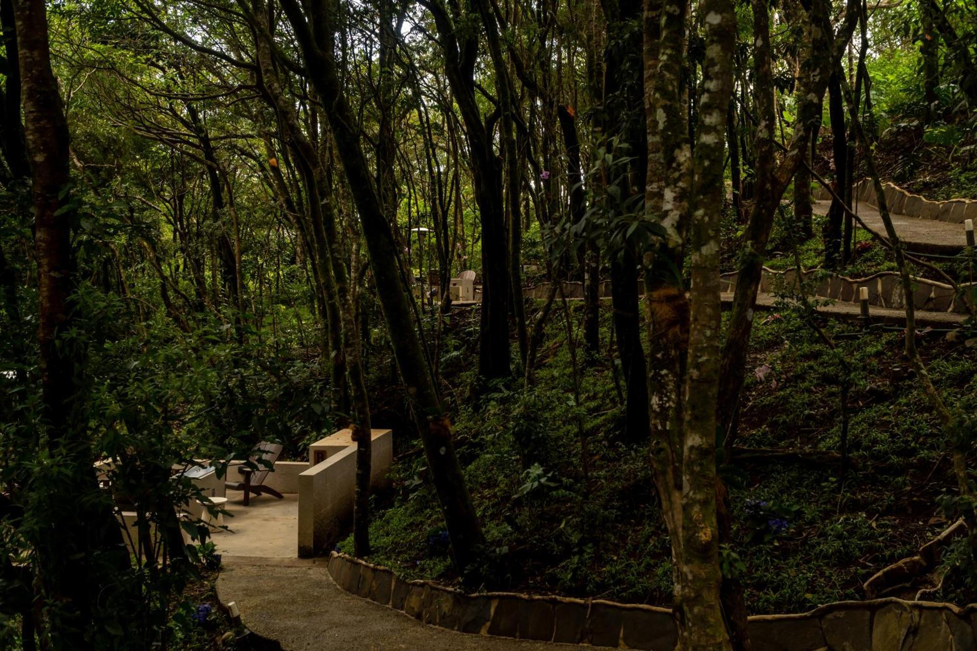 Koora Monteverde A Cloud Forest Hotel By Sandglass Exterior foto